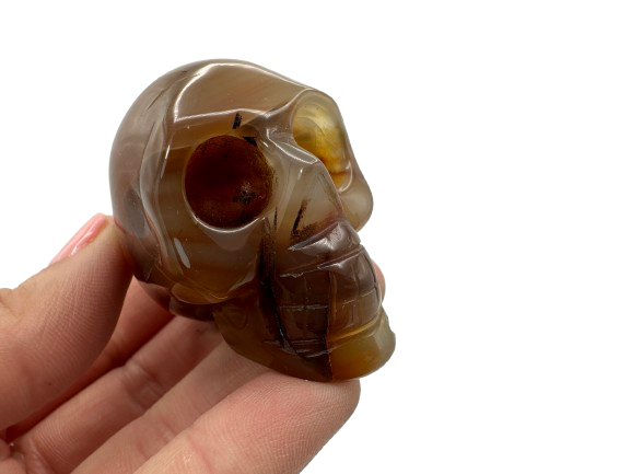 CALAVERA DECORATIVA CORNALINA