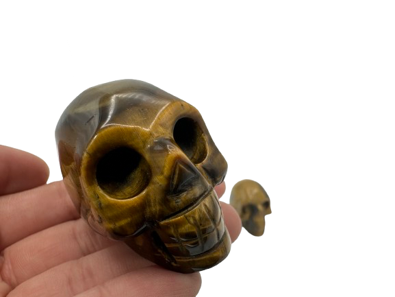 CALAVERA DECORATIVA OJO DE TIGRE