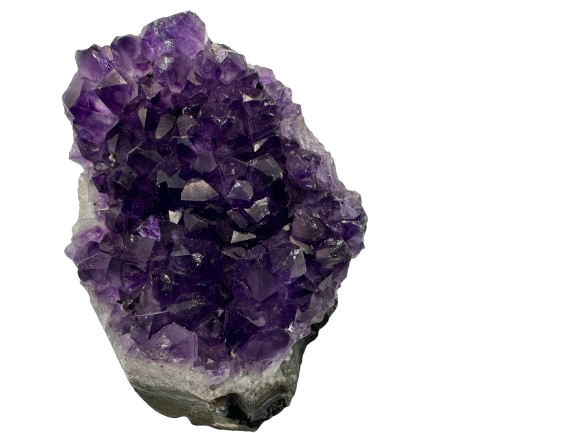 DRUSA AMATISTA DE PIE