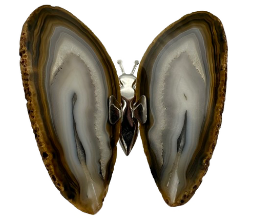MARIPOSA ÁGATA MARRÓN